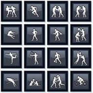 Sports Icon Set N13