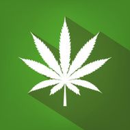 Cannabis leaf icon silhouette symbol Vector N8