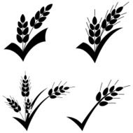 Whole Grain Symbol Wheat Stalks on Checkmark Black Silhouette