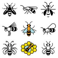 bee and honey icons set