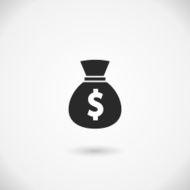 Money Bag Icon N10