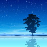 Tree with Night Sky N4
