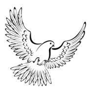 Stylized dove