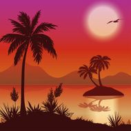 Tropical islands palms flowers and birds N6