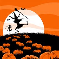 Halloween Night N67