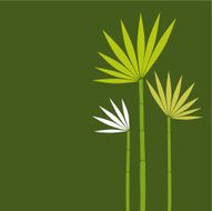 Exotic flower family