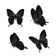Set of Silhouette Butterflies Isolated for Spring N2