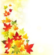 Autumn Background N137