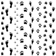 Black Silhouettes - Animal Tracks