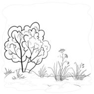 Garden with a bush contours