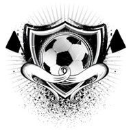 Grunge Soccer Shield