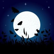 Night N12