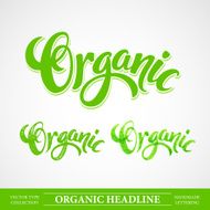 Title Organic Vector Handmade lettering