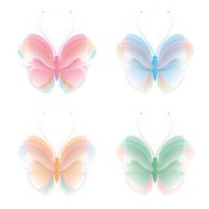 butterfly N154