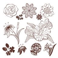 Set of flowers N28
