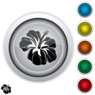 hibiscus icon