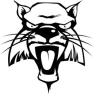 Wild Cat N2