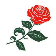 red rose vector design