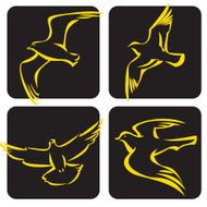 Birds N116