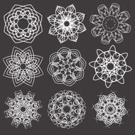 floral and ornamental elements N2