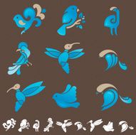 Set of birds on dark background