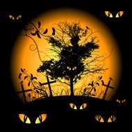 Halloween Night N70