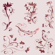 set of plant patterns N3