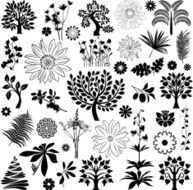 Trees and plants N11