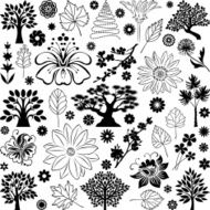 Trees and plants N12