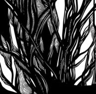 abstract pattern of tree branches N2