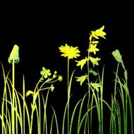 Silhouettes of flowers and grass N73