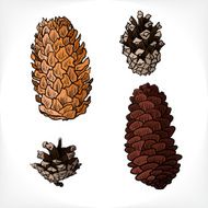 set of different cones