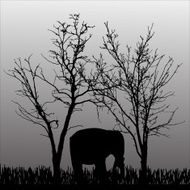 Vector silhouette of elephant N2