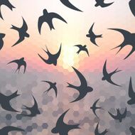Hexagon background and swallow silhouette