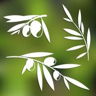 Graphic olive tree branches