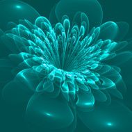 Beautiful flower on blue background