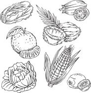 vector silhouettes of various fruits and vegetables