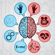 Human Brain N49