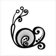 Beautiful Snail Exotic Insect N2