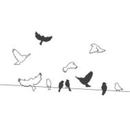 Birds On A Wire N6