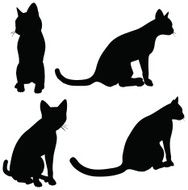 Cats collection - vector silhouette N12