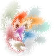 Pastel background with feather