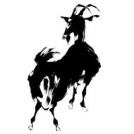 Japanese sheep N19