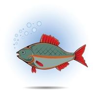 Fish N63