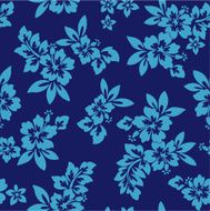 hibiscus repeats N40
