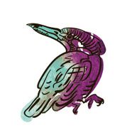 Vector sketch of bird watercolor N10