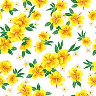hibiscus repeats N41