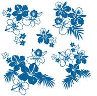 picture of Hibiscus N29