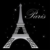 Eiffel Tower Night Landscape