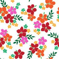 picture of Hibiscus N30